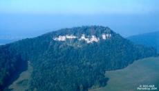 Mont Terri (site archéologique, Cornol)